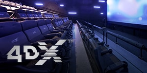 4DX